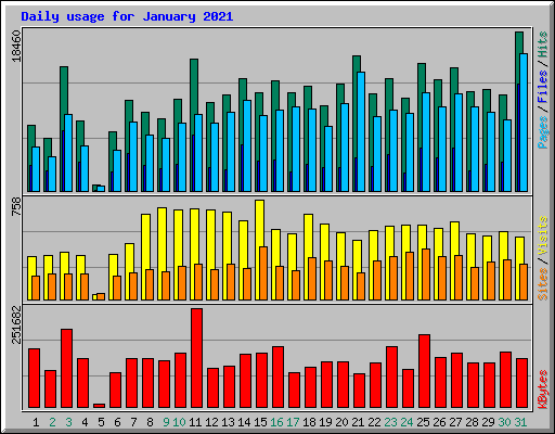 Daily usage for January 2021