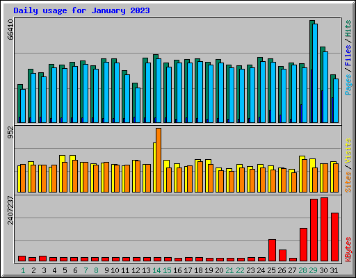 Daily usage for January 2023