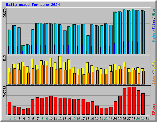 Daily usage for June 2024