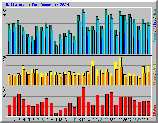 Daily usage for December 2024