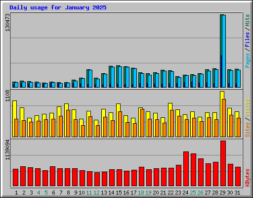 Daily usage for January 2025