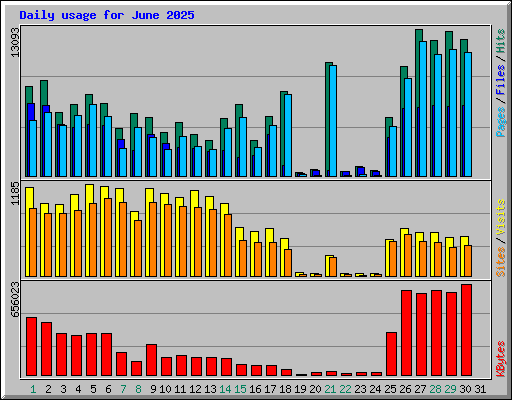 Daily usage for June 2025