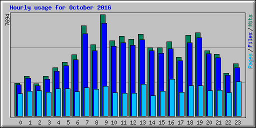 Hourly usage for October 2016