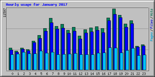 Hourly usage for January 2017