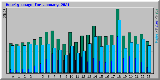 Hourly usage for January 2021