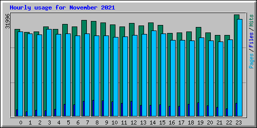 Hourly usage for November 2021