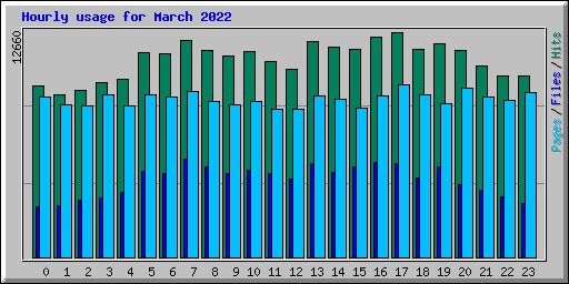 Hourly usage for March 2022