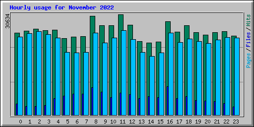 Hourly usage for November 2022