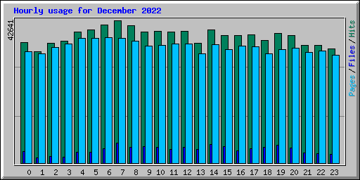 Hourly usage for December 2022