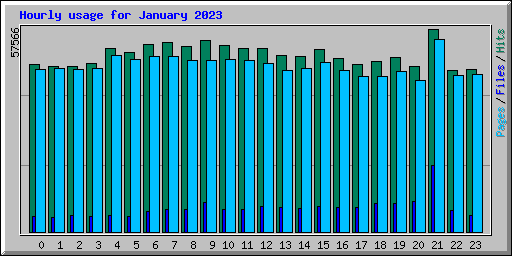 Hourly usage for January 2023