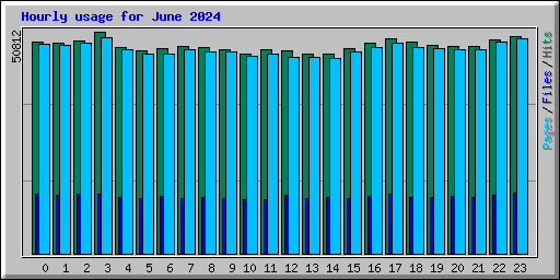 Hourly usage for June 2024