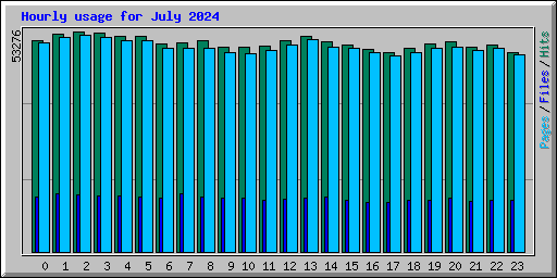 Hourly usage for July 2024