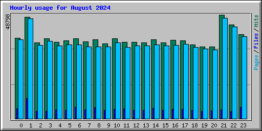 Hourly usage for August 2024