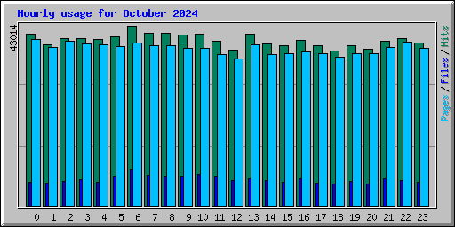 Hourly usage for October 2024