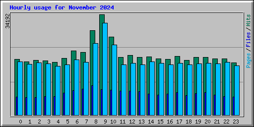 Hourly usage for November 2024