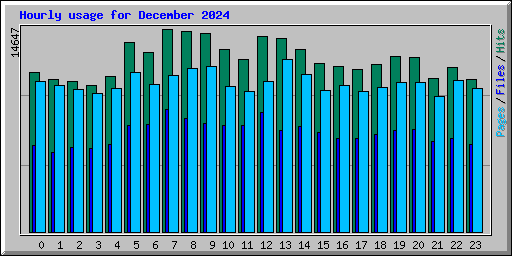 Hourly usage for December 2024