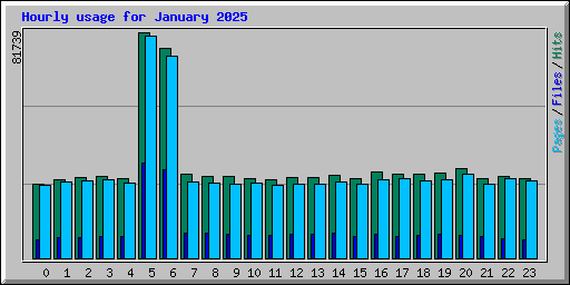 Hourly usage for January 2025