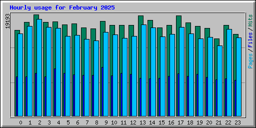 Hourly usage for February 2025