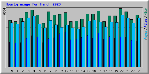 Hourly usage for March 2025