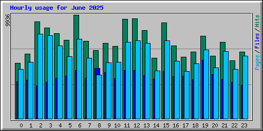 Hourly usage for June 2025