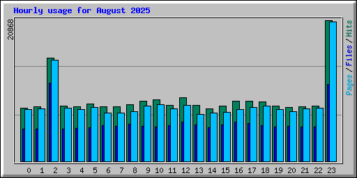 Hourly usage for August 2025