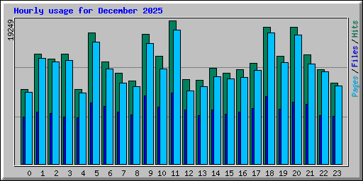 Hourly usage for December 2025